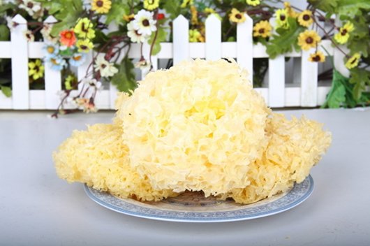 淺談白木耳的營養(yǎng)價(jià)值