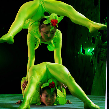 中國柔術(shù)與巴西柔術(shù)的區(qū)別