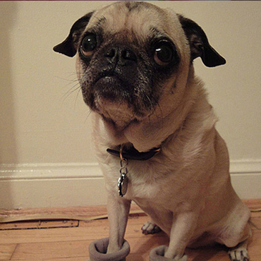 老人在家穿鞋也有講究