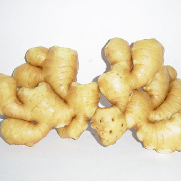 早晨嚼生姜片能延年益壽