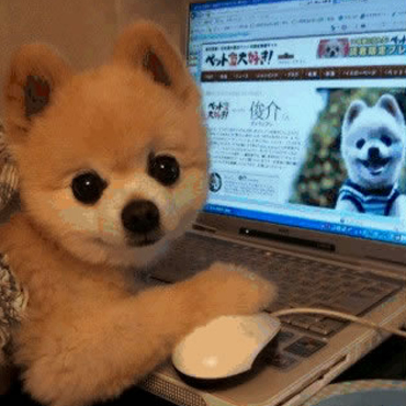 應(yīng)對(duì)職場(chǎng)“星期一癥候群”