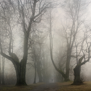 霧天安全行車(chē)須知八注意