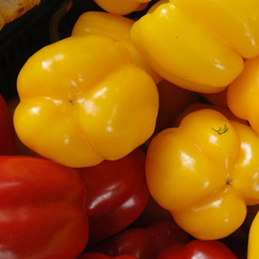 夏天什么補(bǔ)脾胃？黃色……